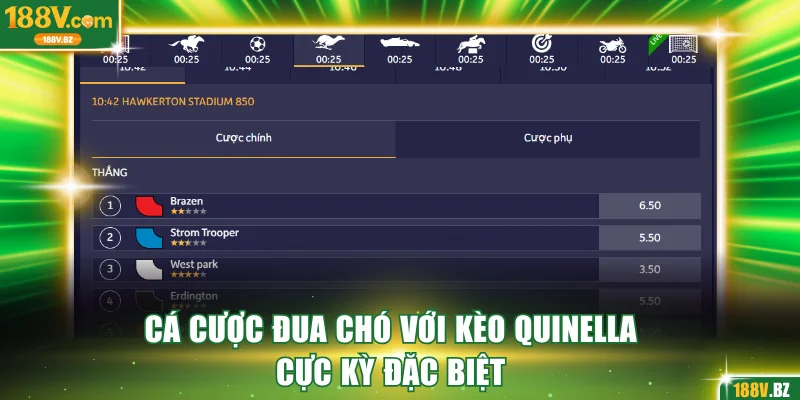 Cá cược đua chó với kèo Quinella cực kỳ đặc biệt