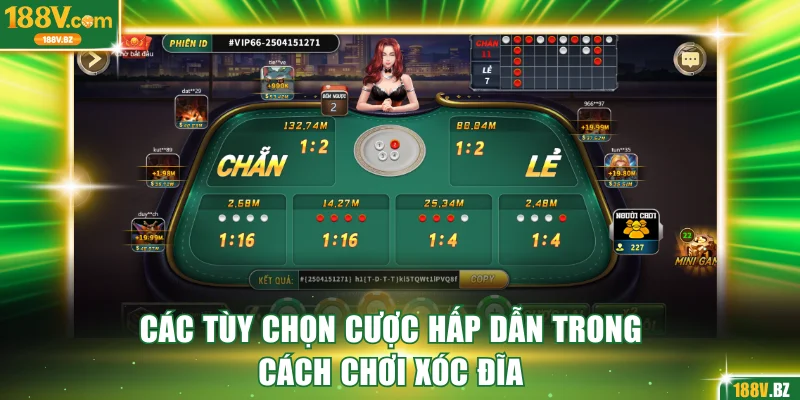 Các tùy chọn cược hấp dẫn trong cách chơi xóc đĩa