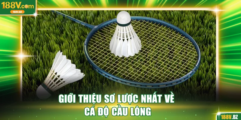 Giới thiệu sơ lược nhất về cá độ cầu lông
