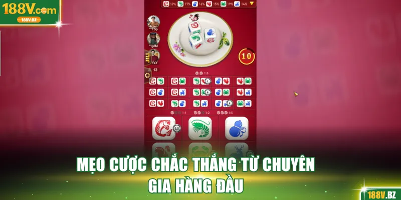 Mẹo cược chắc thắng từ chuyên gia hàng đầu