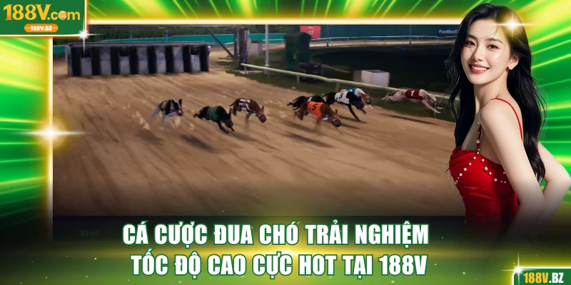 Cá cược đua chó